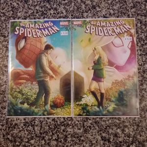 The Amazing Spider Man #7 and #8 Edge Ebenebe Connecting Covers